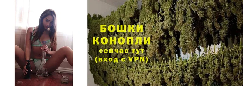 mega онион  продажа наркотиков  Киров  Бошки марихуана White Widow 